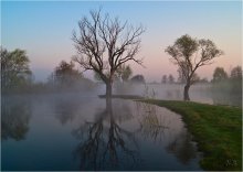 In the mist of spring river / ***
