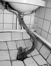 Lavatory / ***