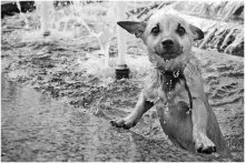 Boss, do not worry, Jump In! / ***