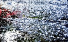 Snatches of clouds. / ***