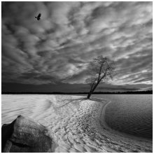 Deserted beach / ***