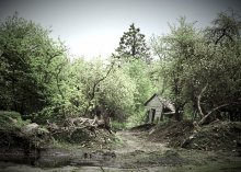 once there were blooming gardens / ***