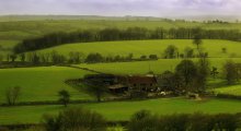 On the farm / ......