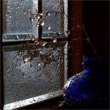 Still Life rain / ***