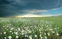 "... I love the field will lay ..."* / ***