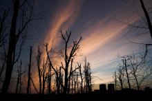 Sunset / ***