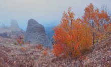 Autumn / ***