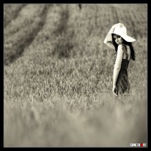 Untitled / .....