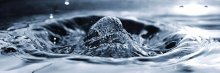 "Everest" / *********