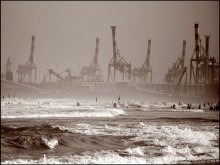 port / ***