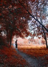 orange Holz / ******