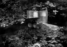Summer / ***