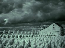 Farm on Longaylende / Long Island farm