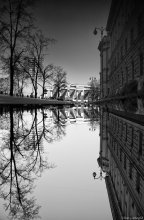 illusion of reality / ***