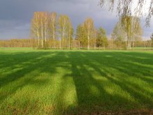 Vor dem Sturm / ***