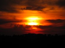 Sunset / ***
