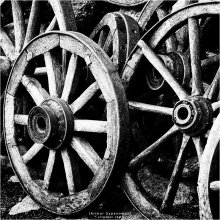 [ Wheel`Z ] / ***