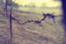 Barbed / """""