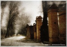 alley / ***