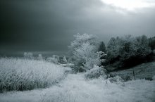 The storm is coming / ***