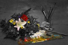 palette / ***