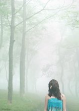 in the fog / ***