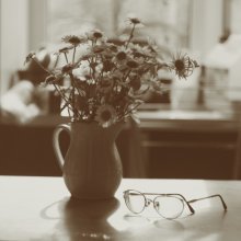 Still life with daisies / ***