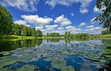 Favorite Lake / ...............
