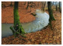 Great River Kubler / ***