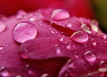 Crying in the Rain.... / http://www.youtube.com/watch?v=qxG46fUC4g8&amp;feature=related