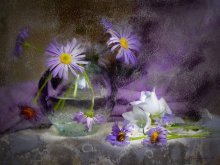 Vtseraschnie Blumen ... / ******