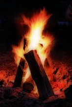 thought the fire ... / ***