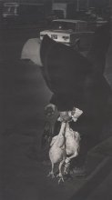 Chickens. / ***