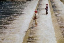 Fishermen * / ***