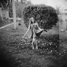 fairy flew / HOLGA