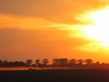 Sunset / ***