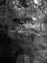 &quot;Looking&quot; / total control