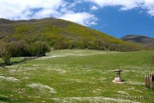Crimean landscape / ***