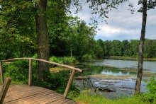 Forest Lake / ------