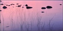 Twilight / .....