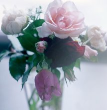 Beauty is / ***