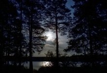 in the wilds of the fairy taiga / ***
