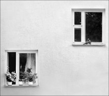 Housing Problem / ***