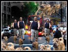 5-County: Down with gays - give Sharpey's! / ***