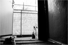  / http://photoclub.by/blog/472