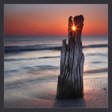 sunrise / .......