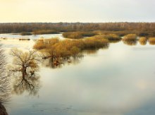 Evening at the Berezina in ARPEL / ***