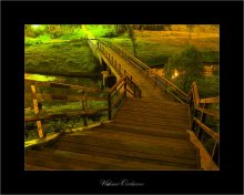 40 seconds of the night / ***