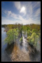 Flood / ***