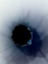 light and lnik / ***